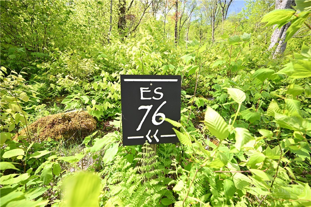 Es76 Lands End Trail Property Photo 4