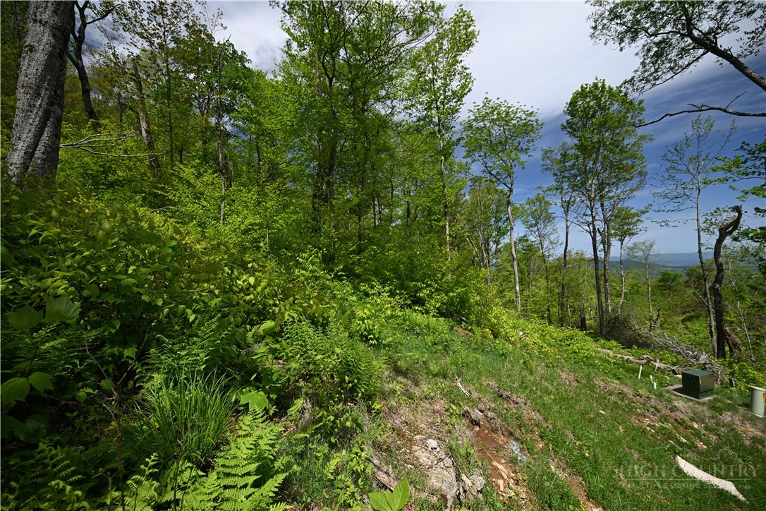 Es76 Lands End Trail Property Photo 5