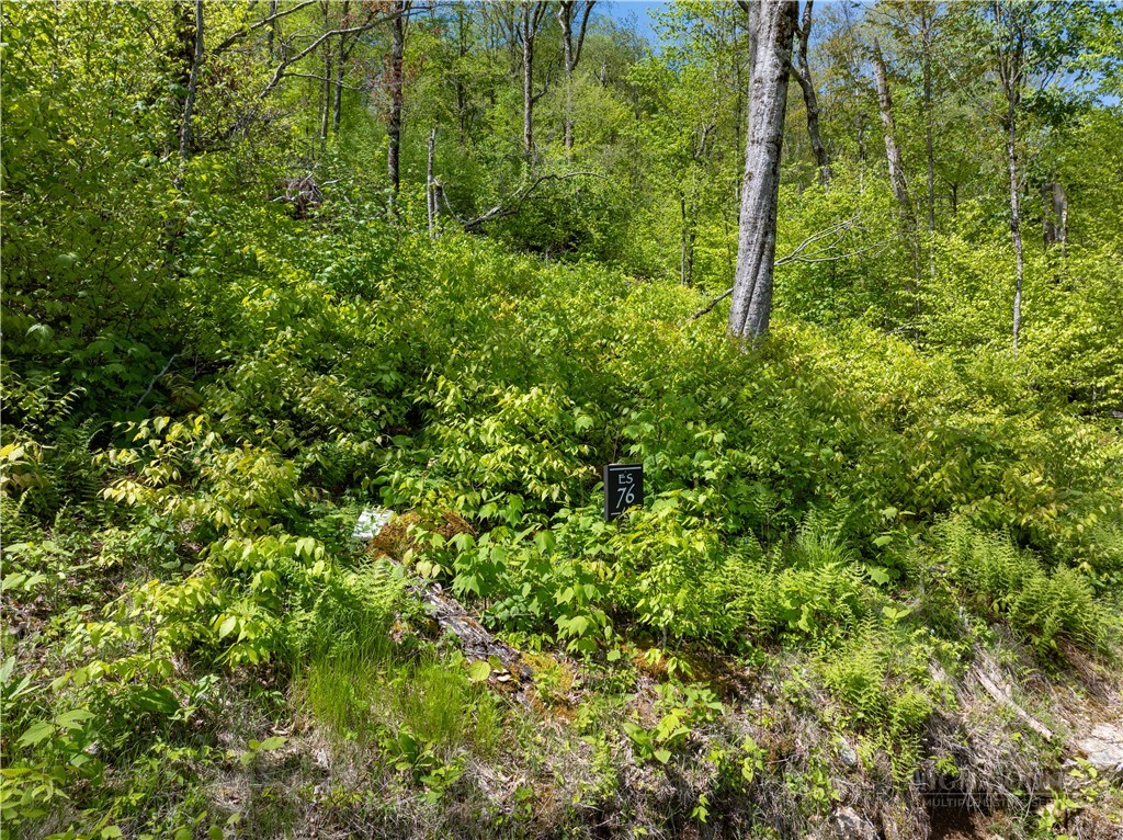 Es76 Lands End Trail Property Photo 17