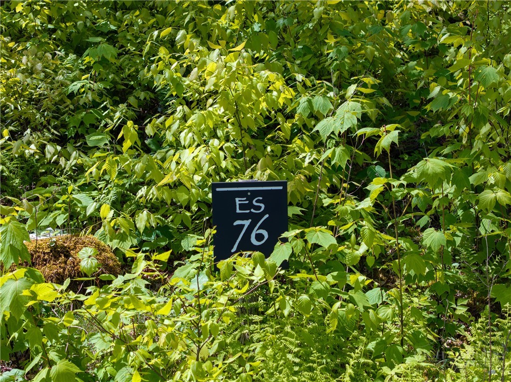 Es76 Lands End Trail Property Photo 18
