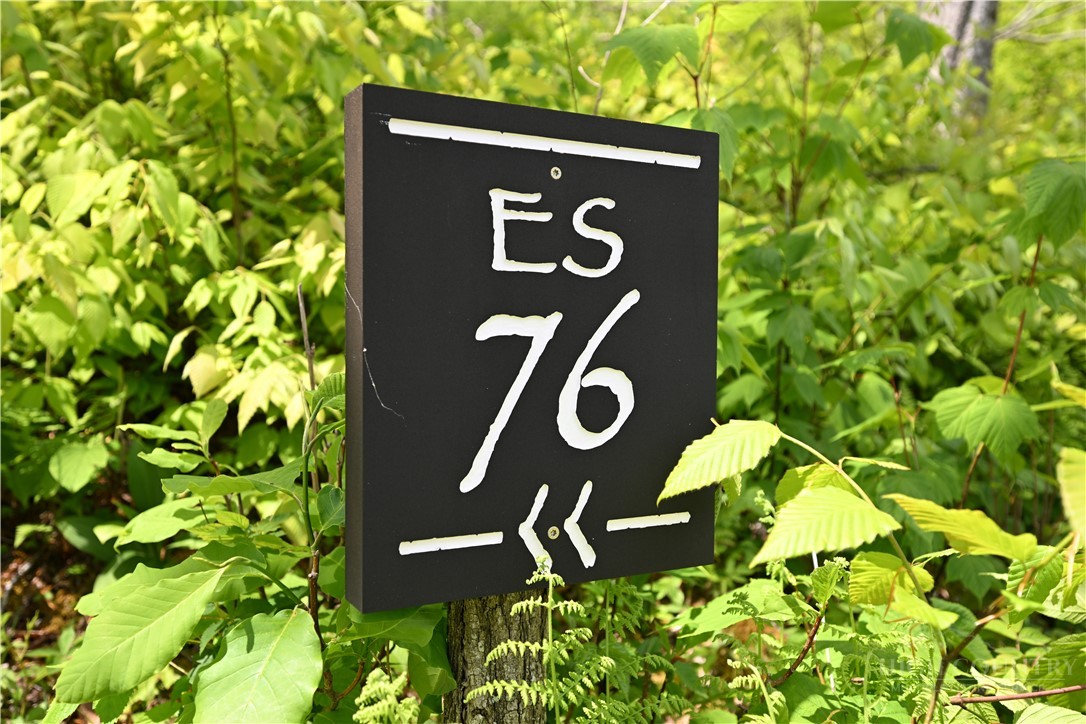 Es76 Lands End Trail Property Photo 19