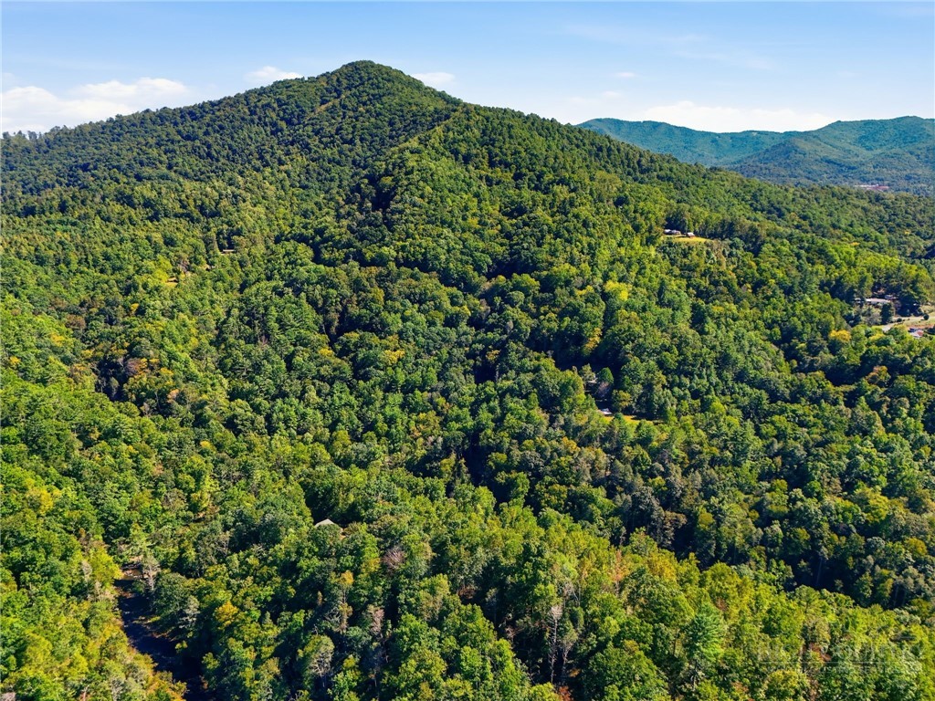 2711 Rabbit Hop Road Property Photo 50