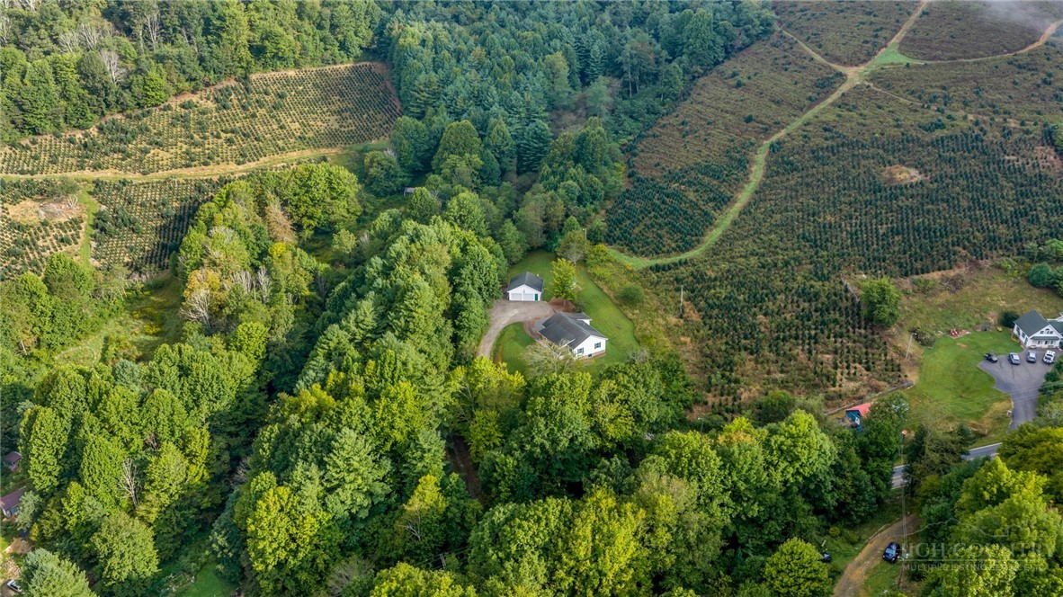 3115 Roaring Fork Property Photo 2