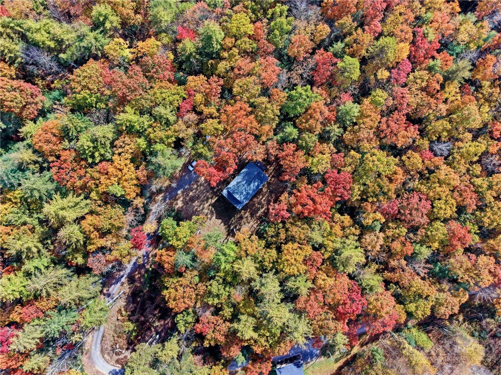 210 Eagles Nest Trail Property Photo 35