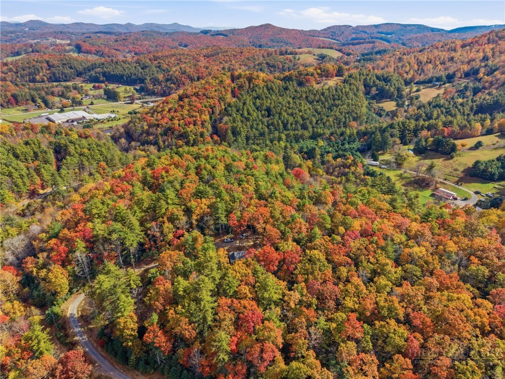 210 Eagles Nest Trail Property Photo 36