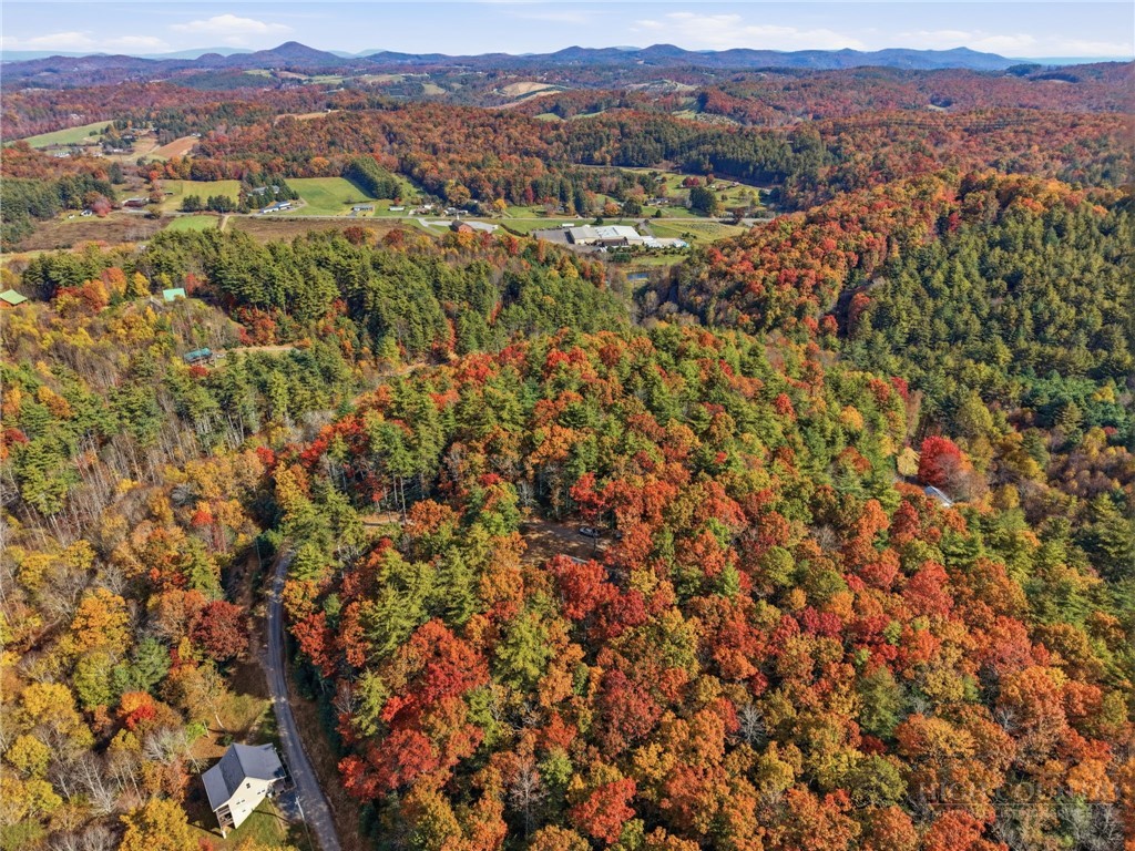210 Eagles Nest Trail Property Photo 37