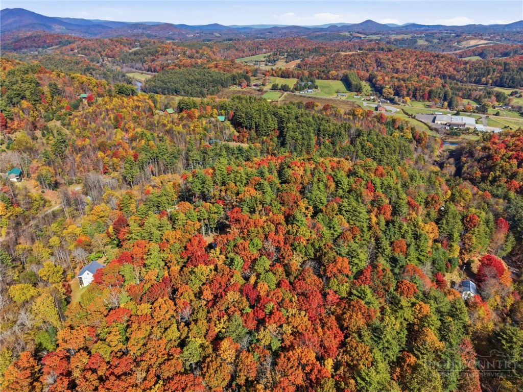210 Eagles Nest Trail Property Photo 38