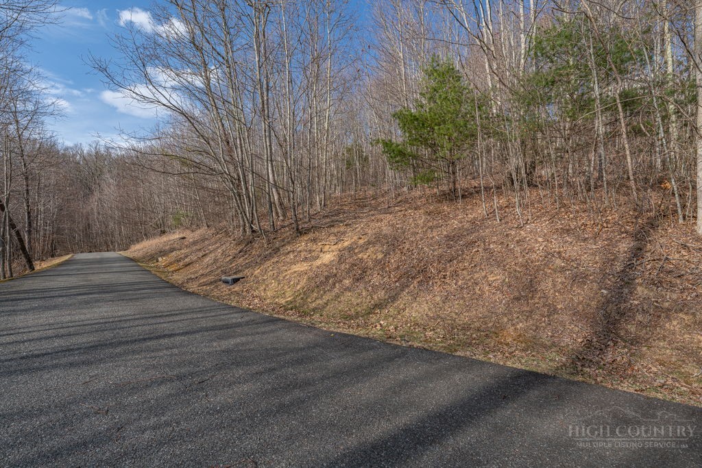 Lot 52 Pinnacle Drive Property Photo 2