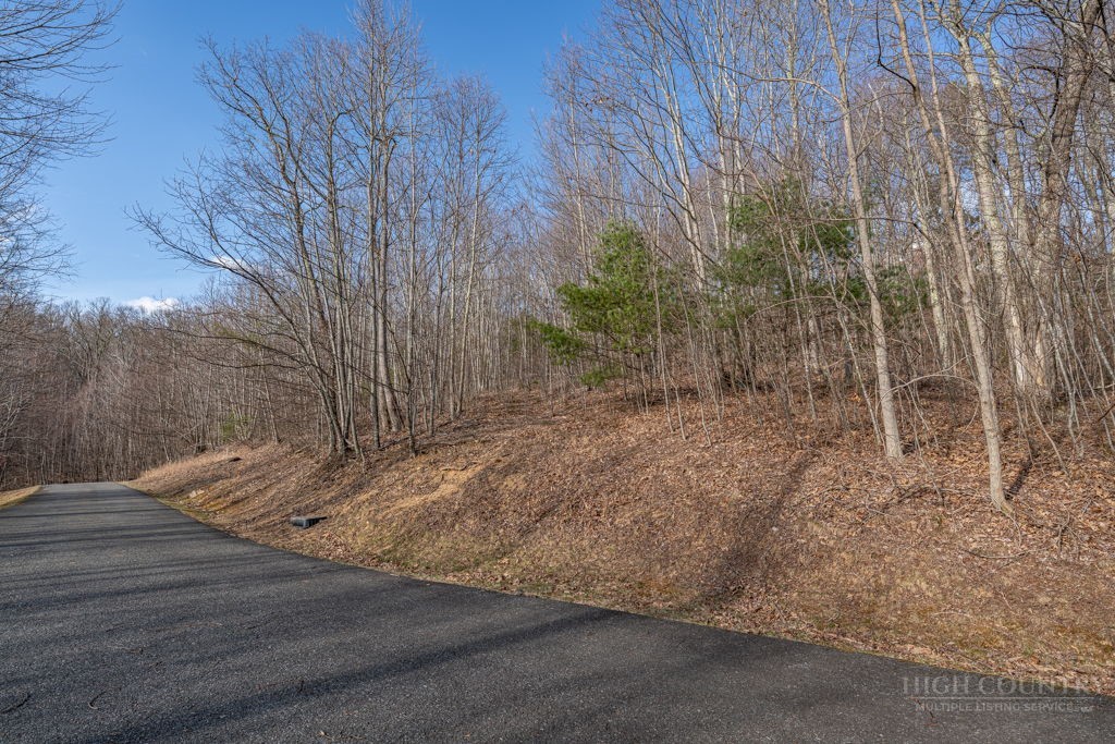 Lot 52 Pinnacle Drive Property Photo 3