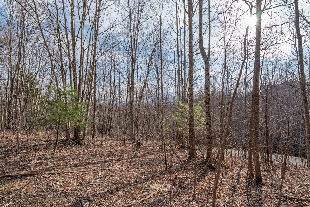 Lot 52 Pinnacle Drive Property Photo 5