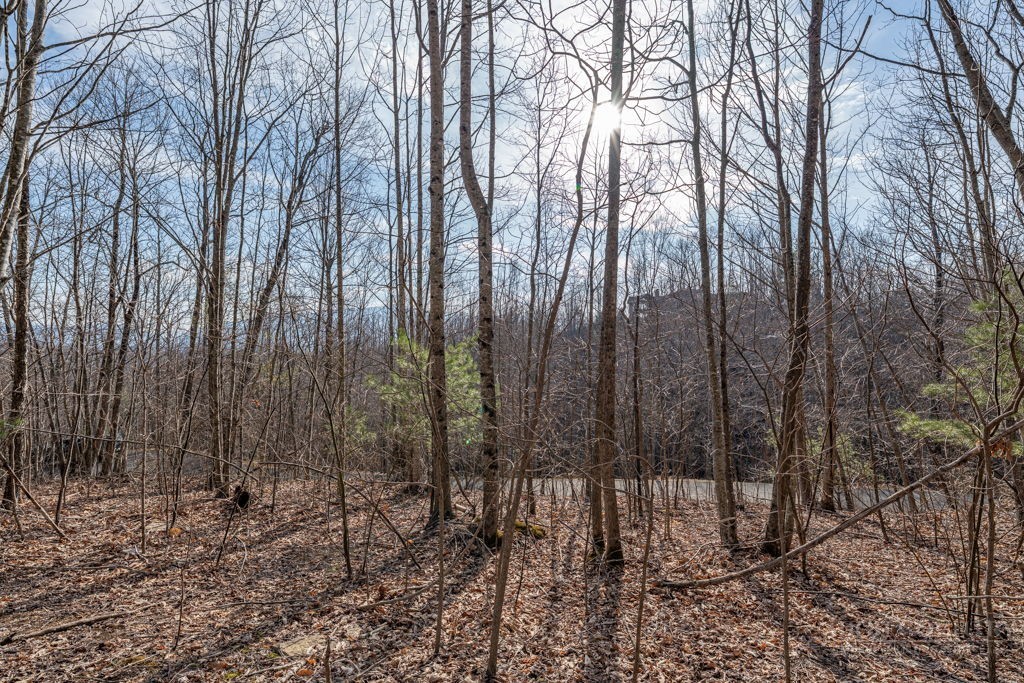 Lot 52 Pinnacle Drive Property Photo 6
