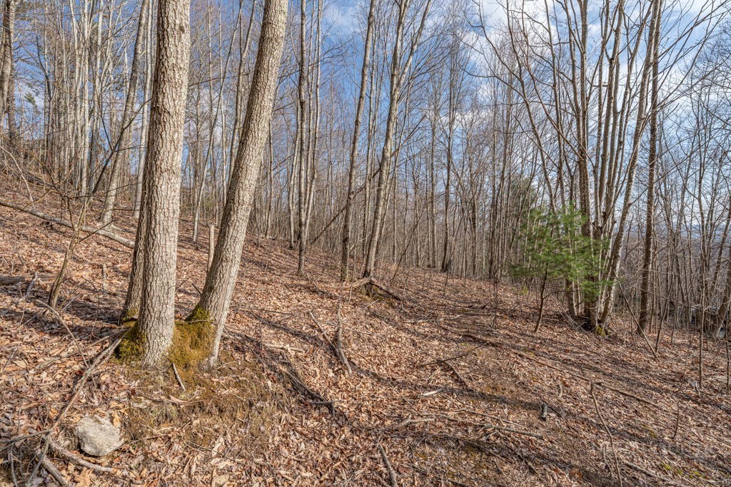 Lot 52 Pinnacle Drive Property Photo 7