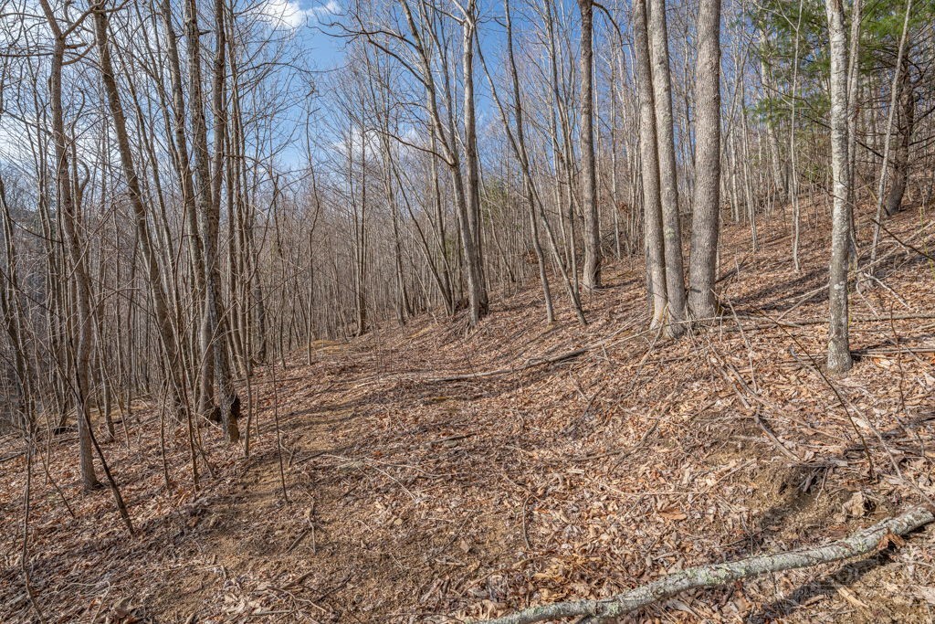 Lot 52 Pinnacle Drive Property Photo 8
