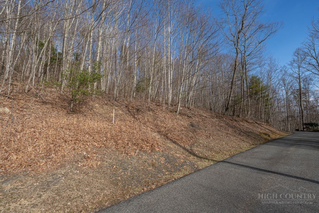 Lot 52 Pinnacle Drive Property Photo 9