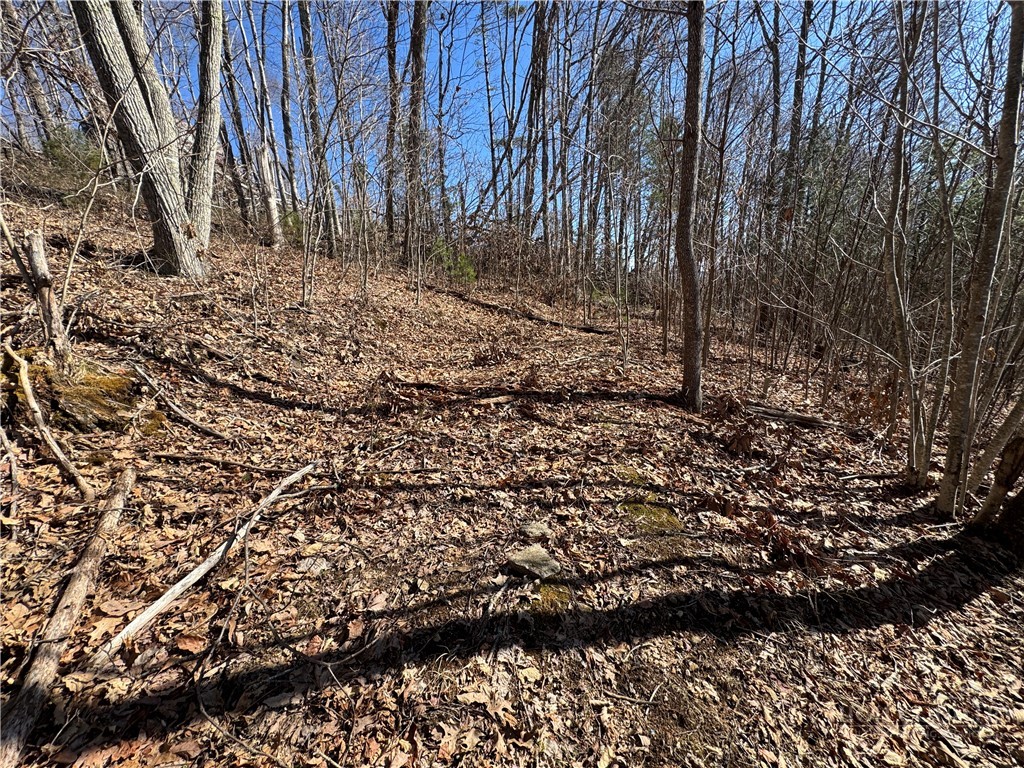 Lot 52 Pinnacle Drive Property Photo 11