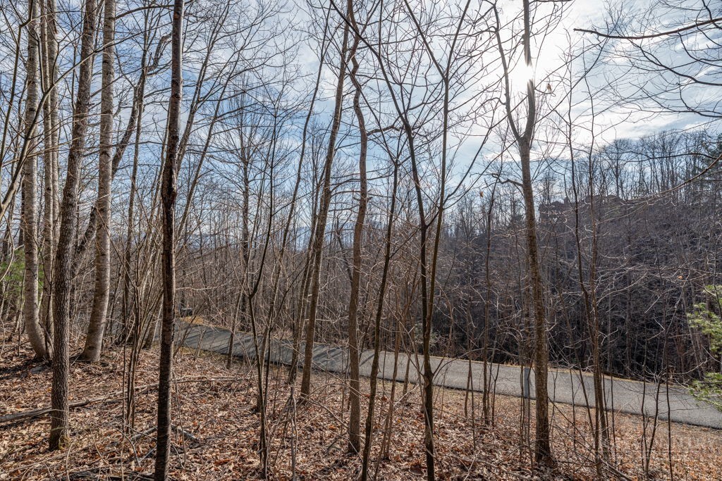 Lot 52 Pinnacle Drive Property Photo 21