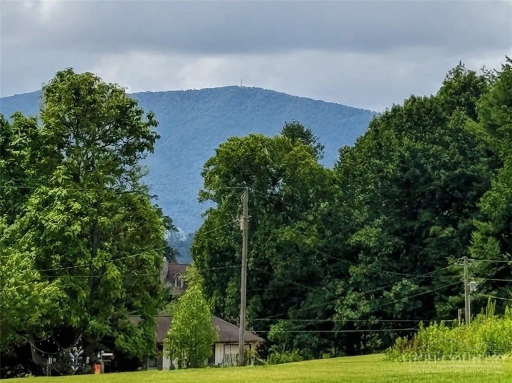 Tbd Lot 2 Flat Rock Farm Road Property Photo 1