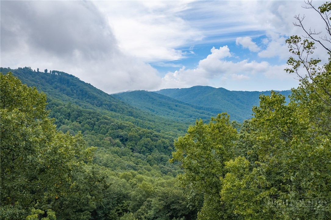 Tbd (lot 16) Scarlet Oak Drive Property Photo 1