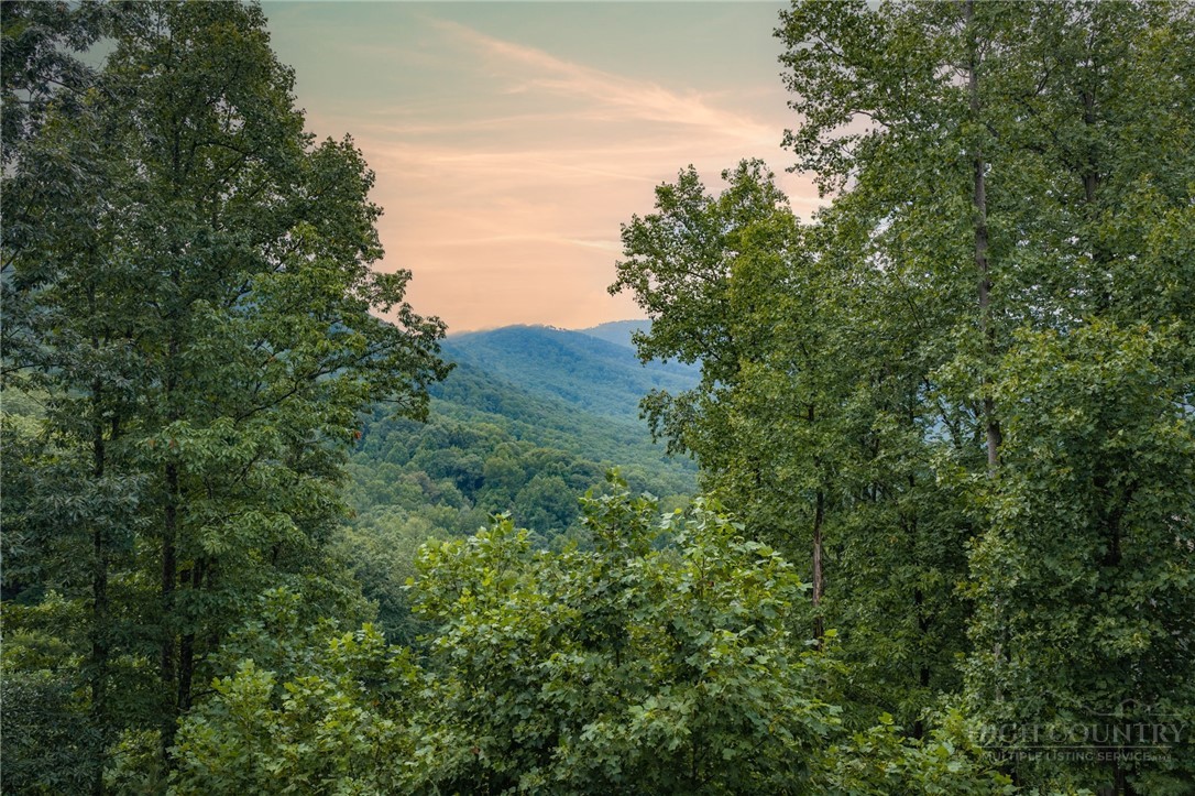 Tbd (lot 16) Scarlet Oak Drive Property Photo 4