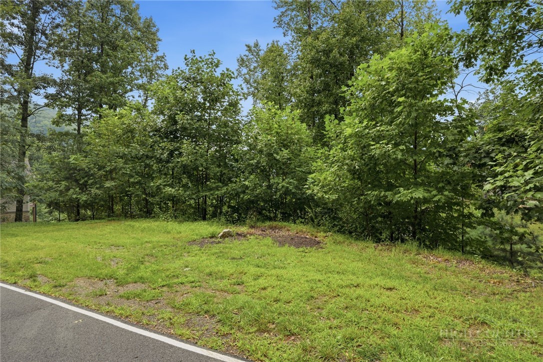 Tbd (lot 16) Scarlet Oak Drive Property Photo 10