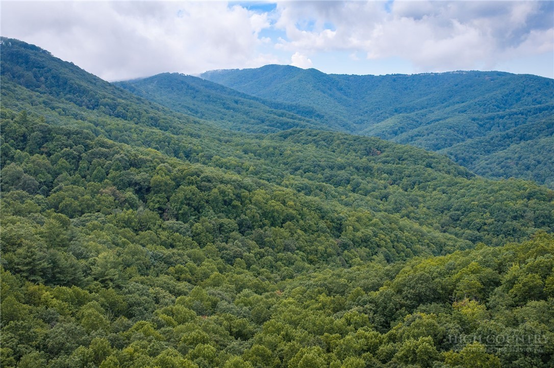 Tbd (lot 16) Scarlet Oak Drive Property Photo 13