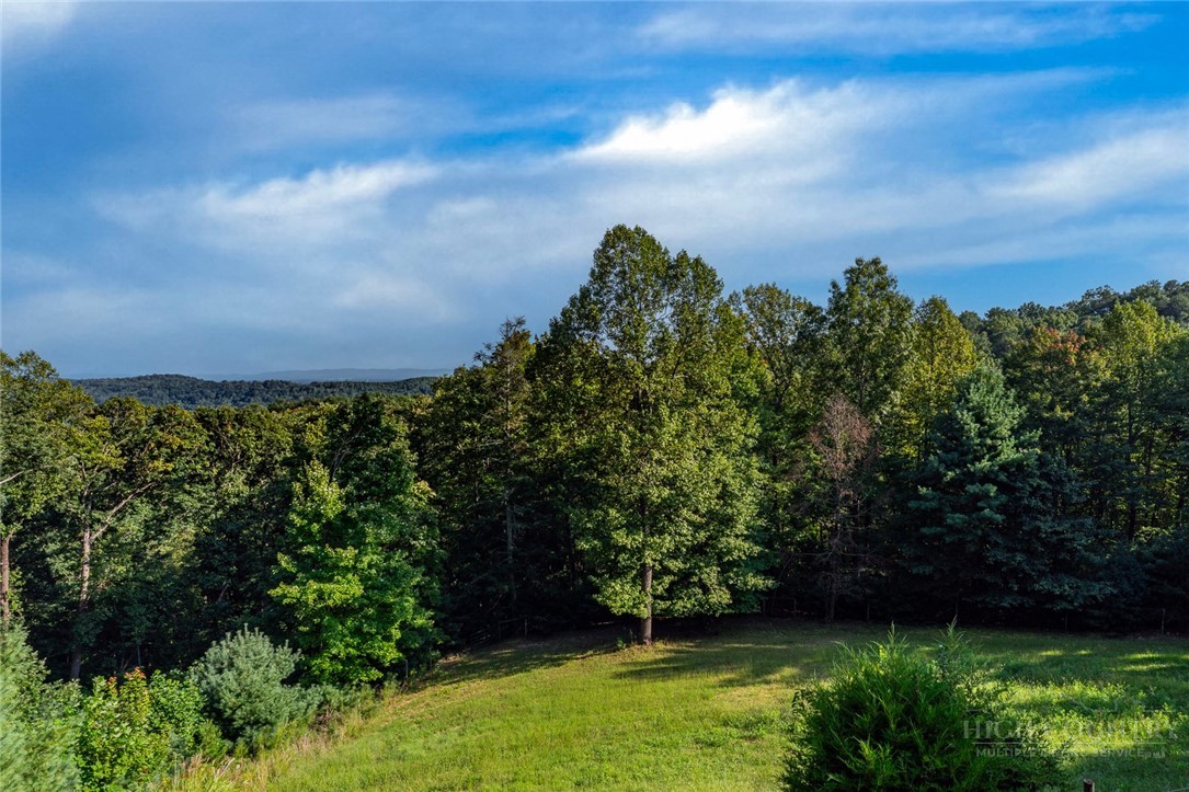 408 Broomtail Lane Property Photo 41