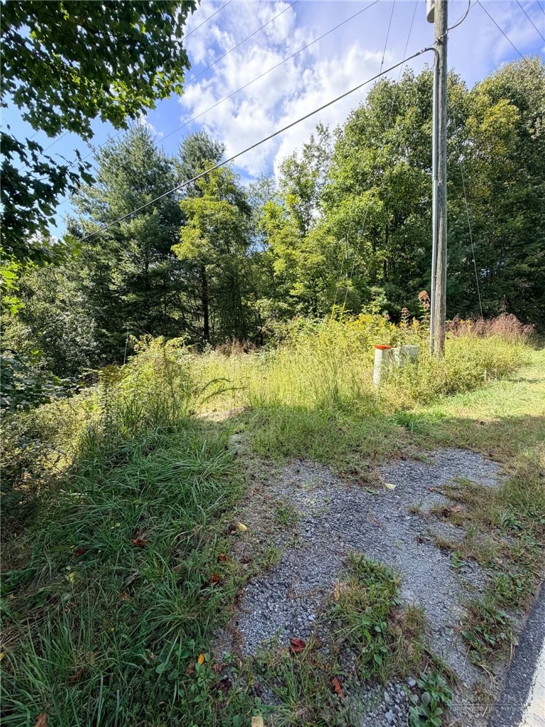 101 Pleasant Home Property Photo 1