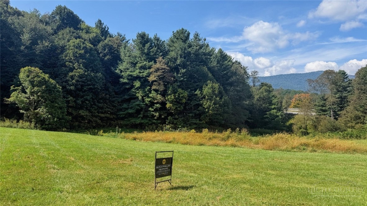 Tbd Lot 3 Willowbend Property Photo 4