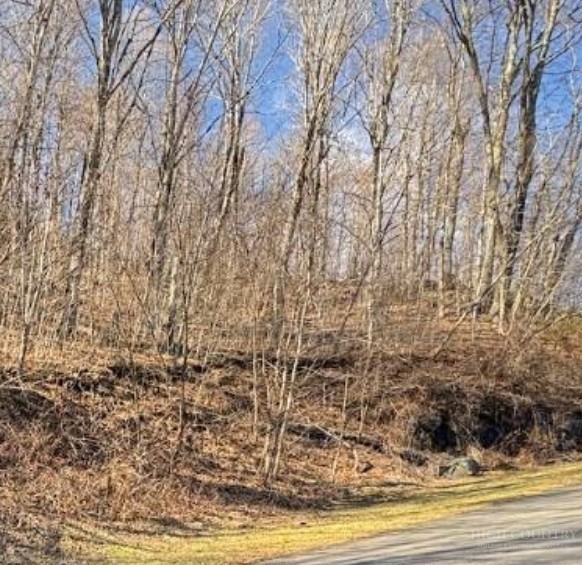 Lot 32 Jewel Weed Trail Property Photo 1