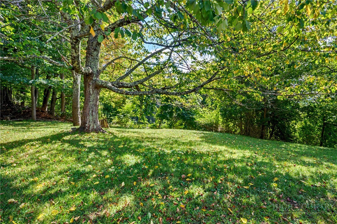 632 Queen Street Property Photo 35
