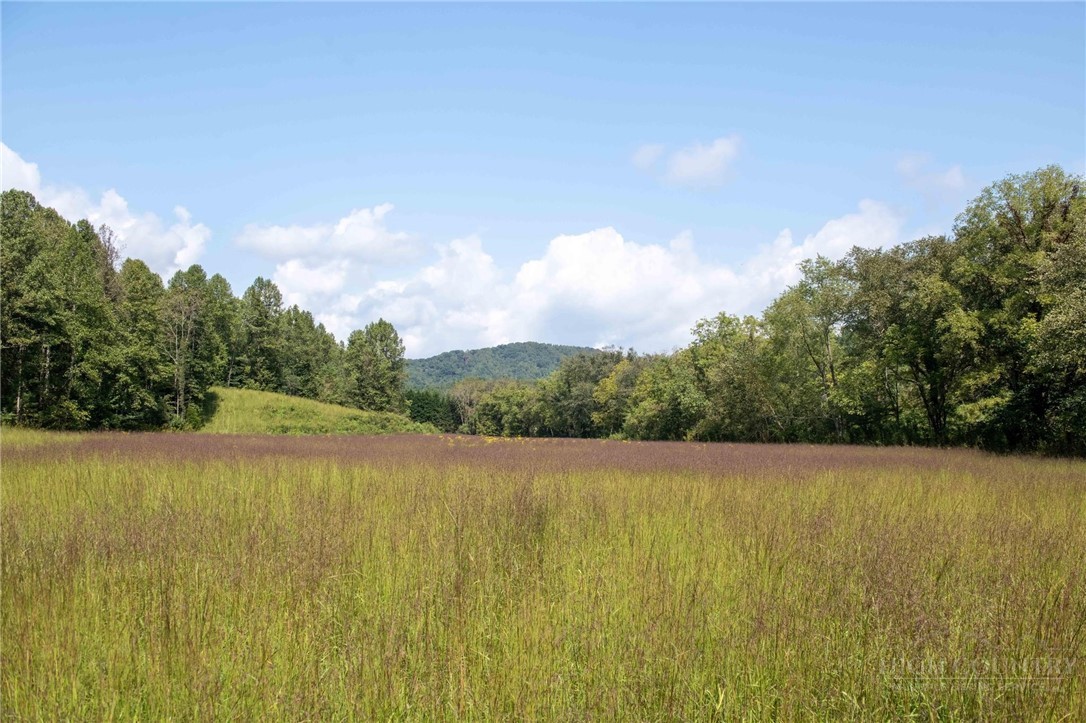 3305 Zacks Fork Road Property Photo 1