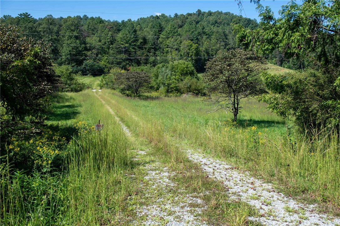 3305 Zacks Fork Road Property Photo 3