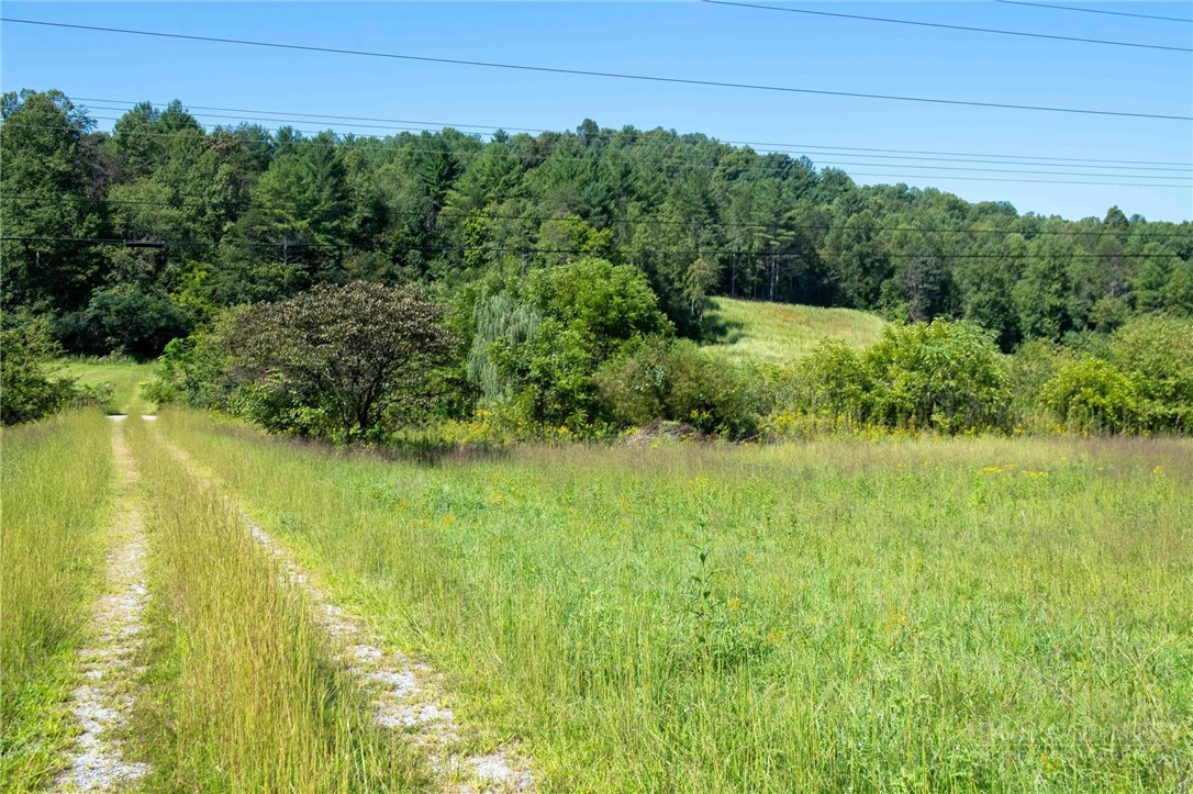 3305 Zacks Fork Road Property Photo 4