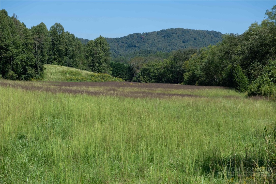 3305 Zacks Fork Road Property Photo 9