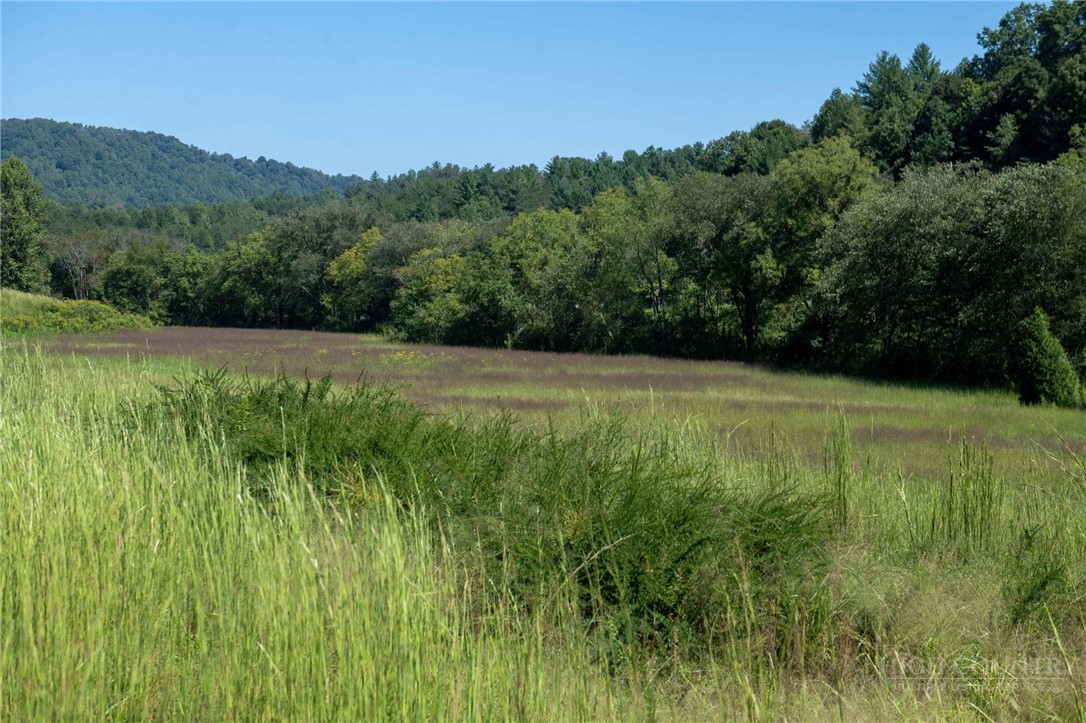 3305 Zacks Fork Road Property Photo 11