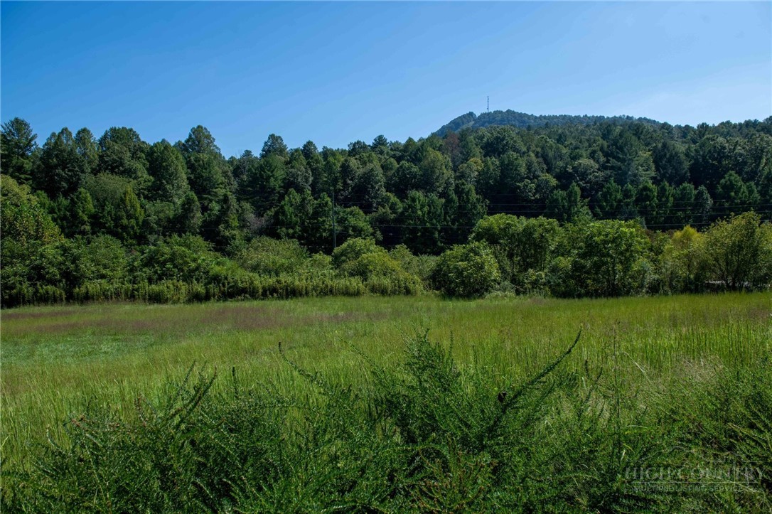 3305 Zacks Fork Road Property Photo 12