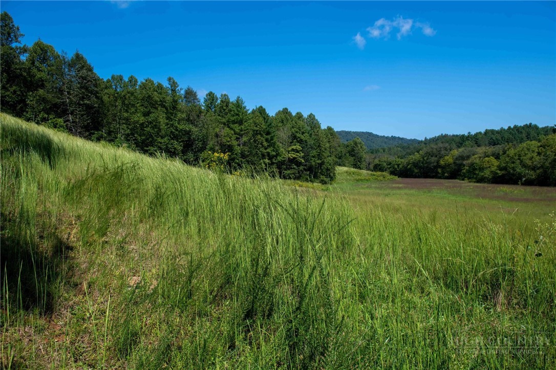 3305 Zacks Fork Road Property Photo 13