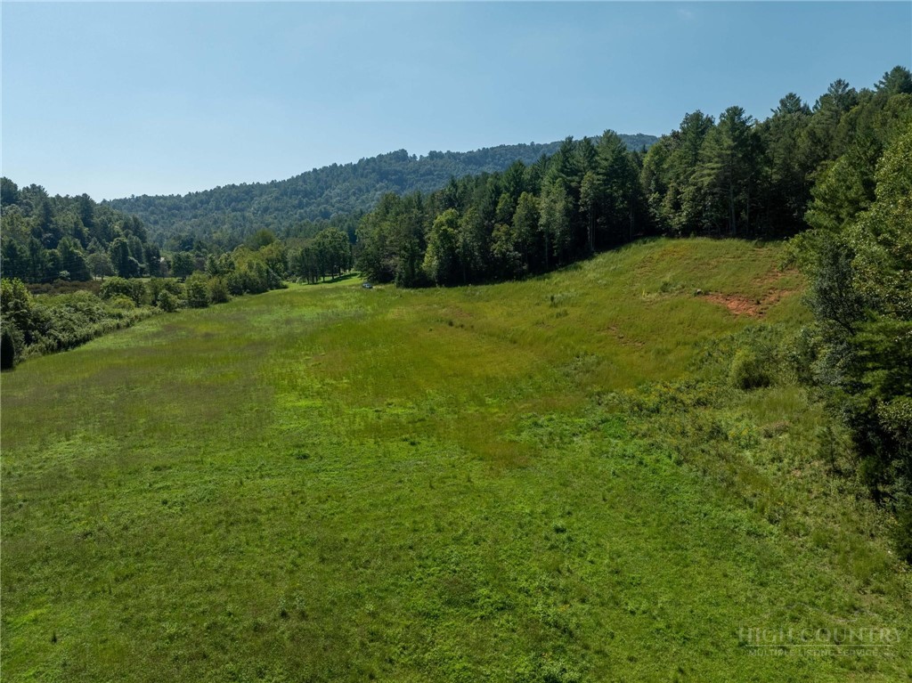3305 Zacks Fork Road Property Photo 22