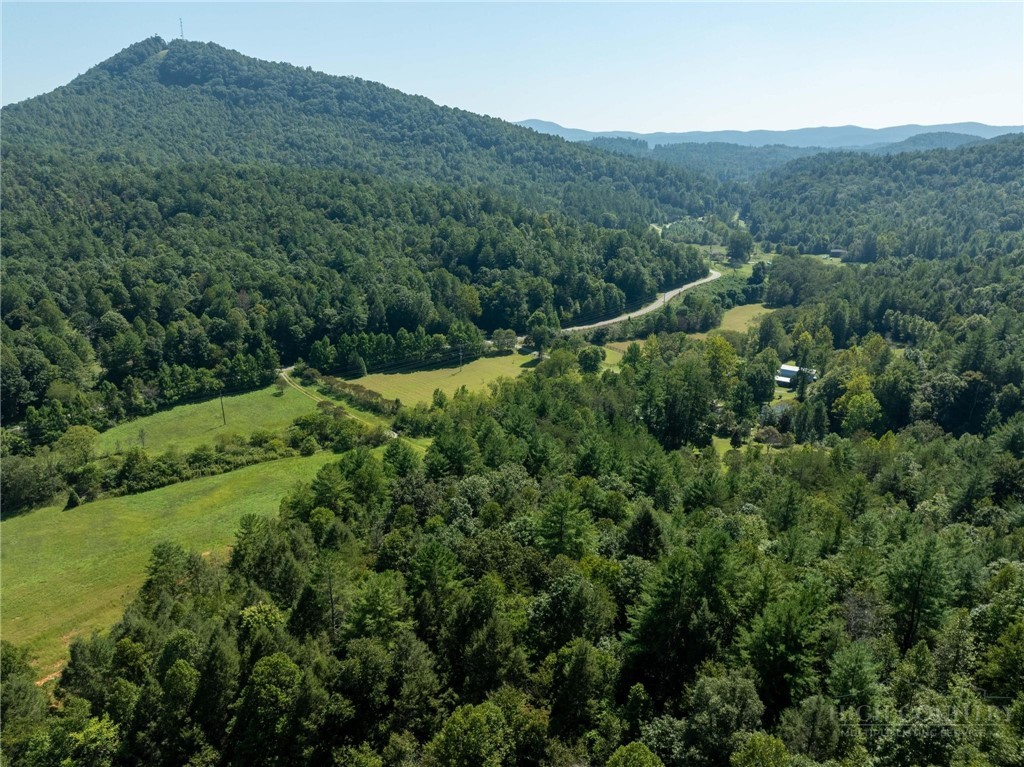 3305 Zacks Fork Road Property Photo 24
