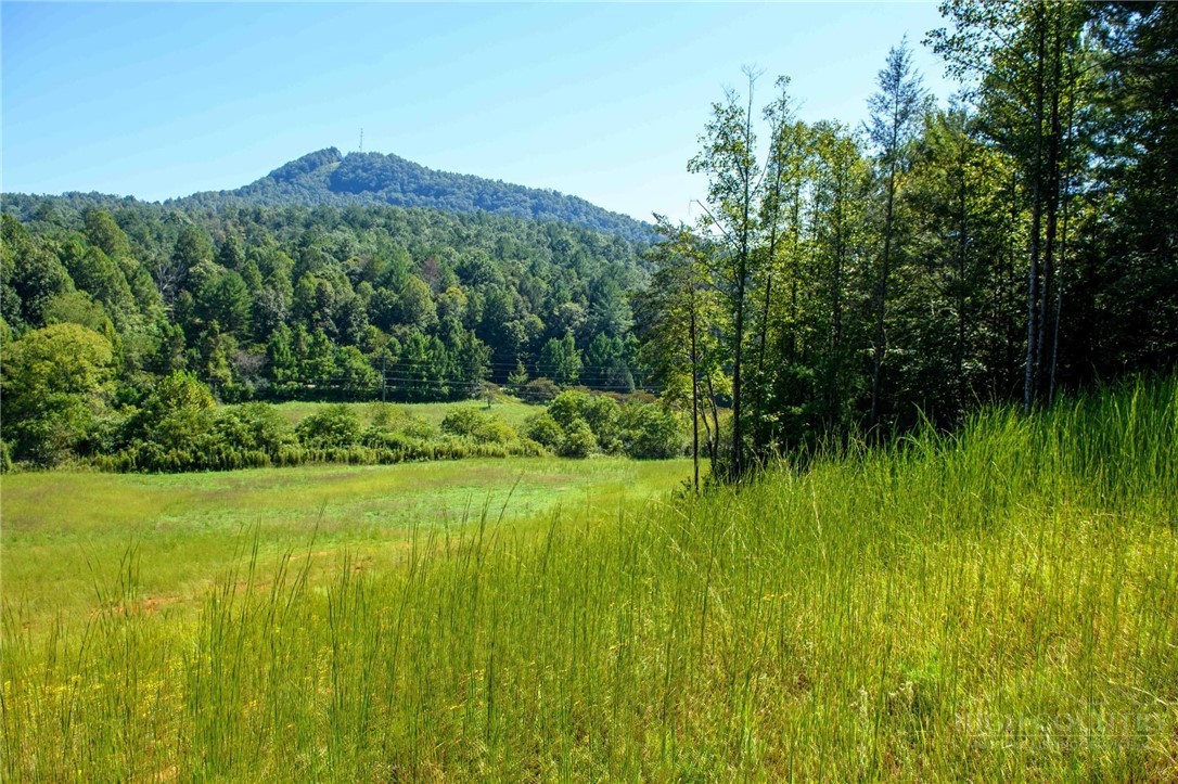 3305 Zacks Fork Road Property Photo 25