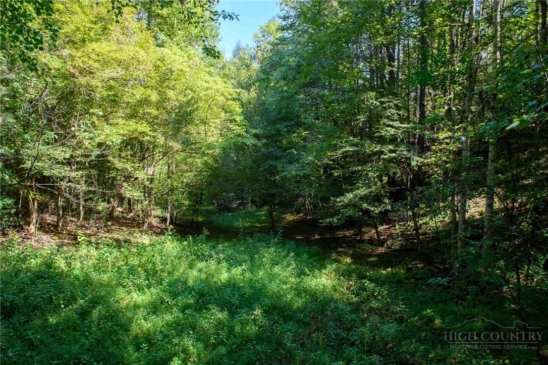 3305 Zacks Fork Road Property Photo 28