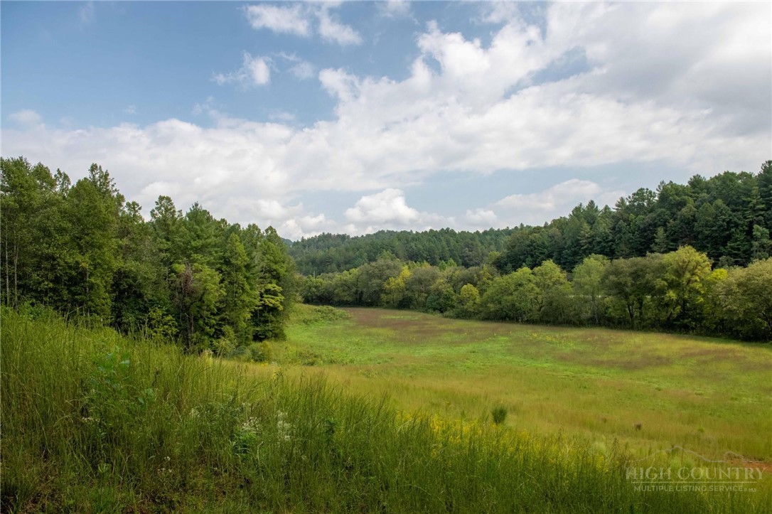 3305 Zacks Fork Road Property Photo 32