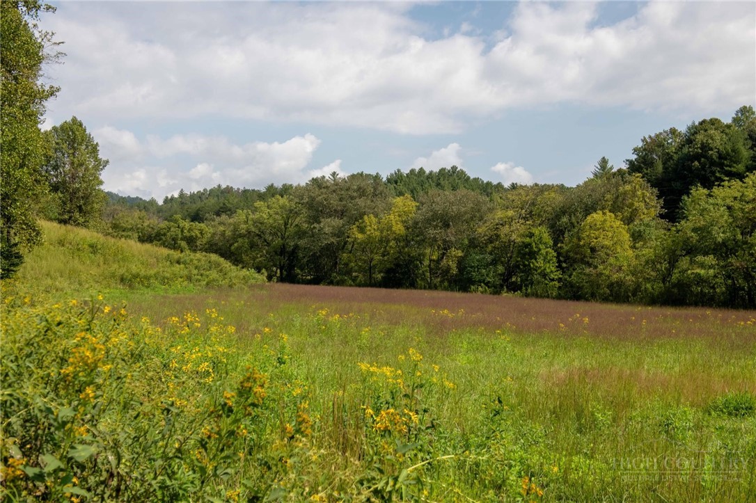 3305 Zacks Fork Road Property Photo 33