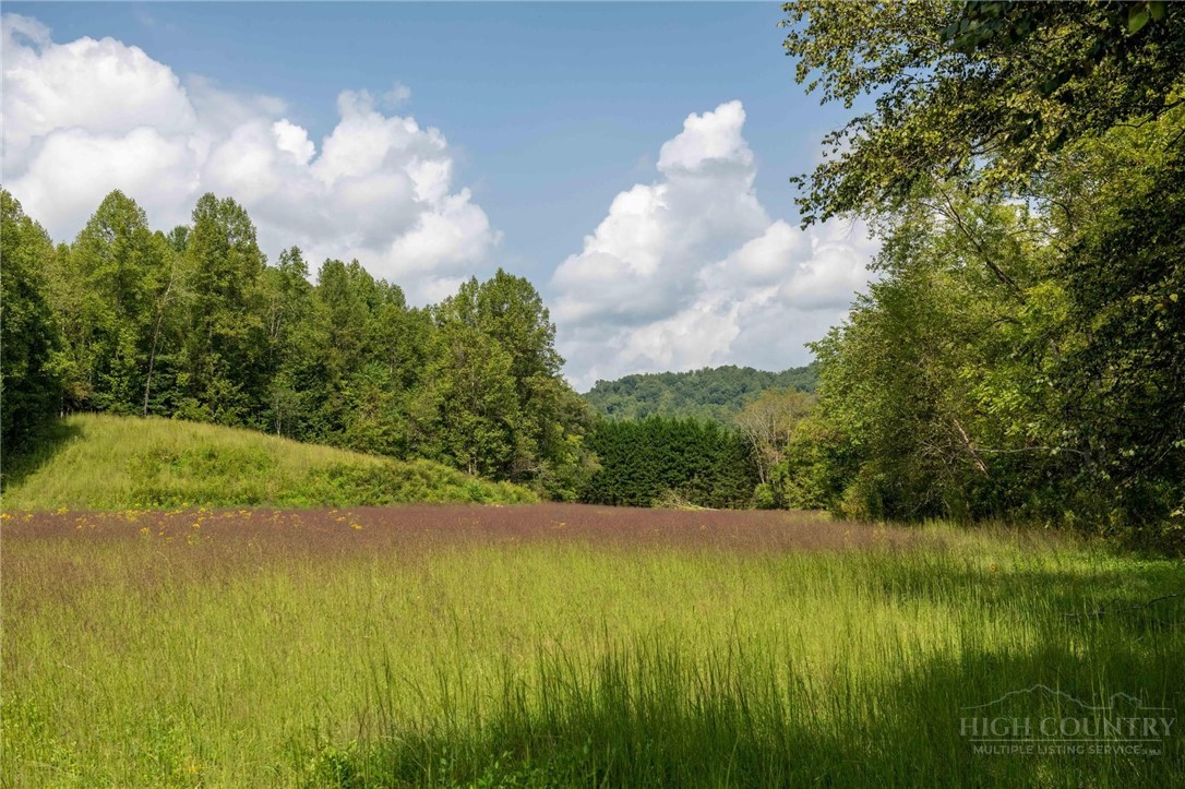 3305 Zacks Fork Road Property Photo 35