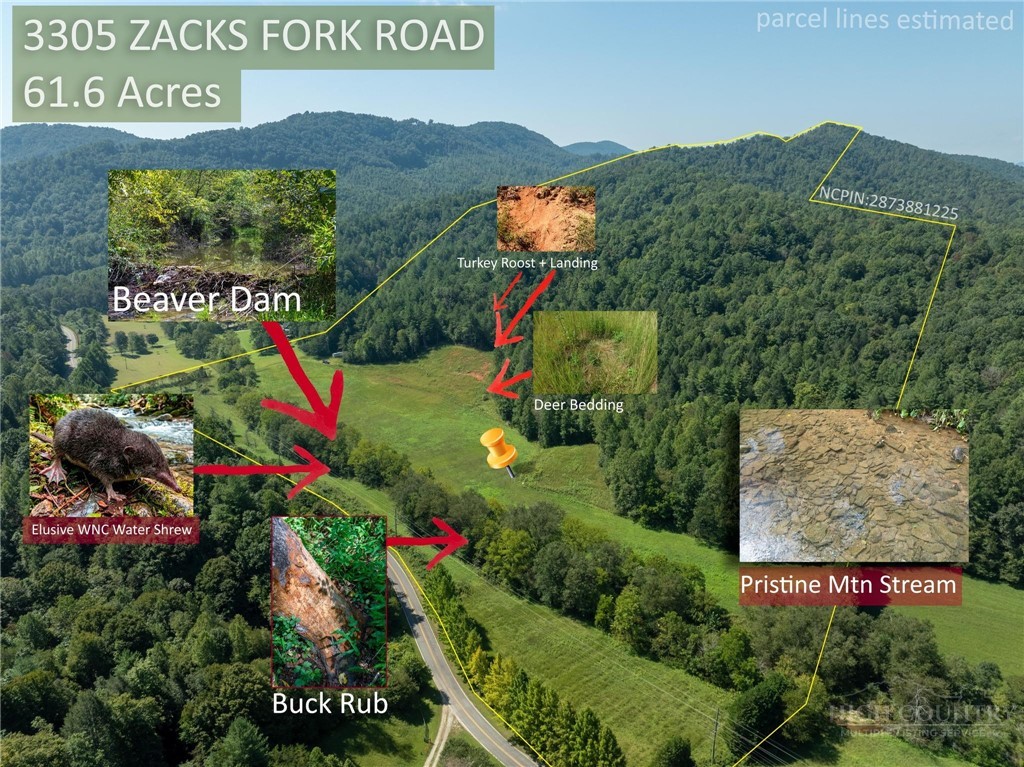 3305 Zacks Fork Road Property Photo 38