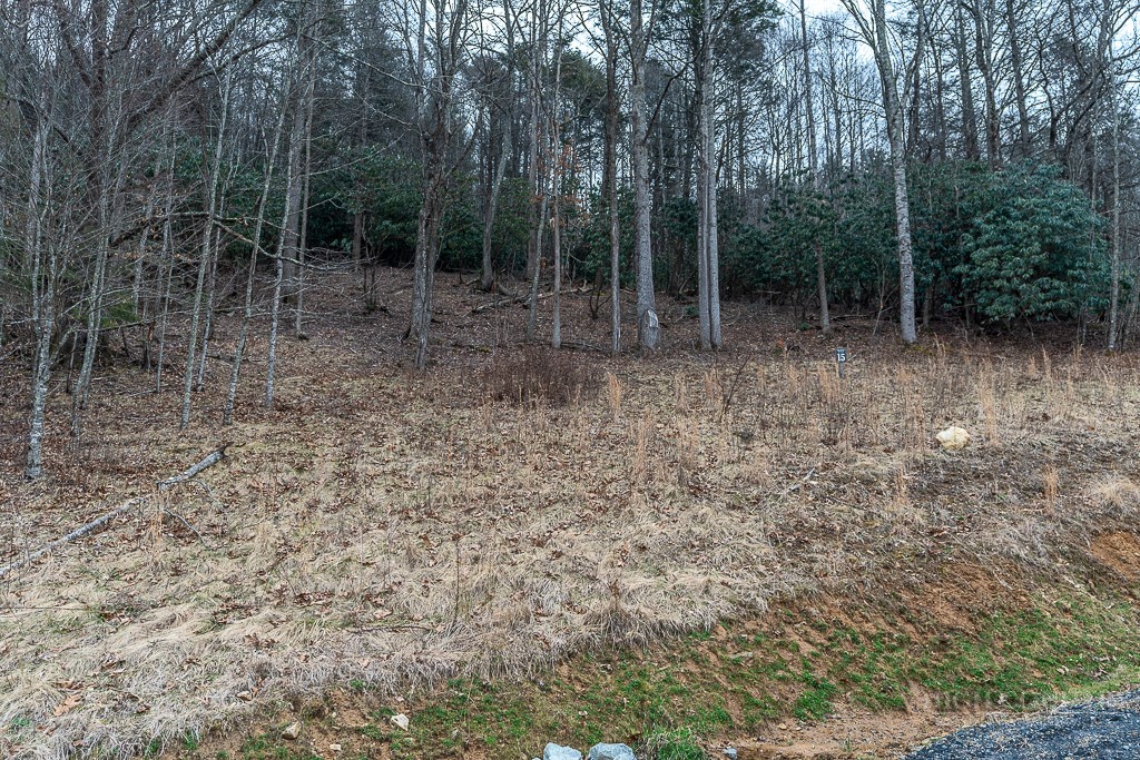 Tbd River Valley Overlook Property Photo 5