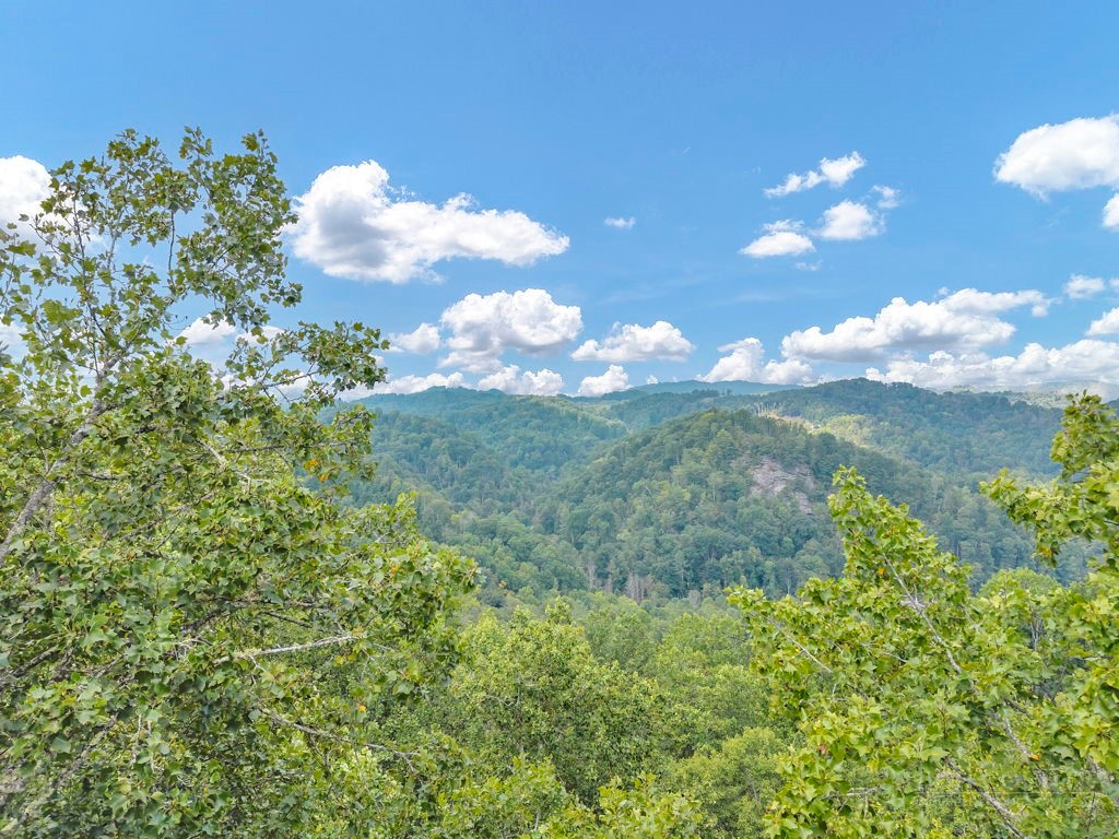 Tbd Big Rock Drive Property Photo 1