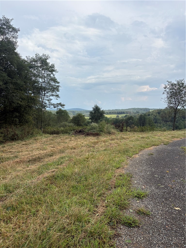 Lot 26 Fox Trot Lane Property Photo 4