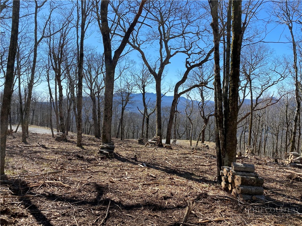 Tbd (lot 8) Chappell Farm Road Property Photo 2