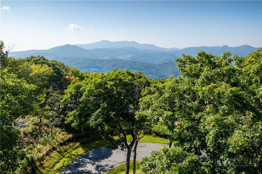 Tbd (lot 8) Chappell Farm Road Property Photo 3